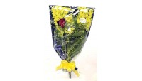 festa della donna
